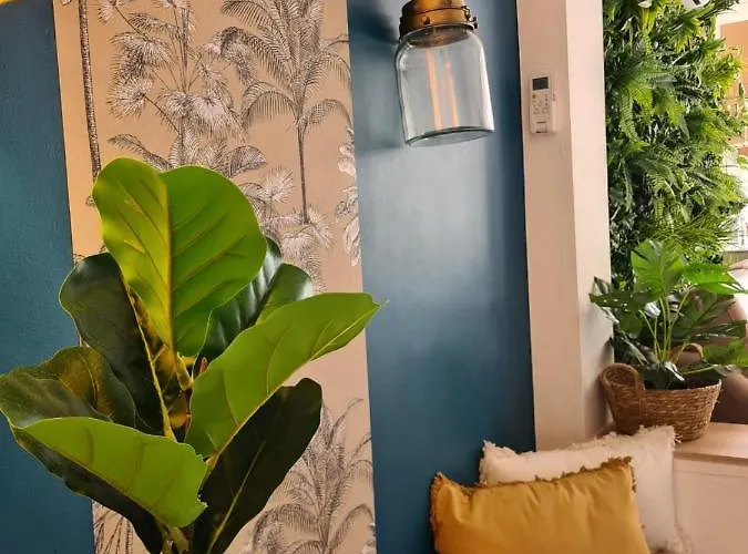 Daire Cap D'agde Naturiste Heliopolis 2 A 4 Personnes Osmose Agde